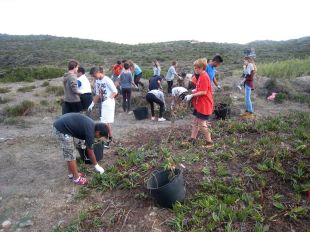 Cadaqués prohibeix als veïns col·locar plantes invasores