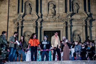 Darrer dia de curtmetratges a concurs al festival 'Acocollona’t!'