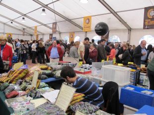 Més de 25.000 visitants a la Festa de la Ratafia de Santa Coloma de Farners
