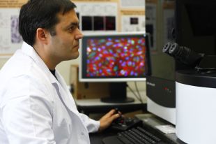 Avenç per acabar amb la resistència del càncer de pulmó als nous tractaments