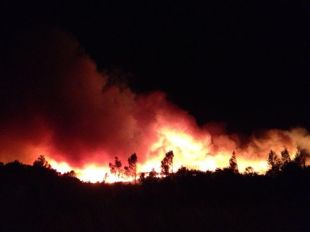 Un incendi crema una zona forestal a Vilopriu