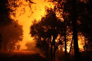 El nord de les Gavarres i el Cap de Creus són les zones que més preocupen en cas d'incendi forestal