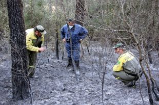 Sospiten que el foc del Baix Empordà podria ser intencionat