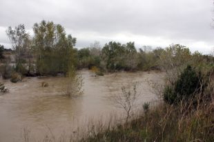Protecció Civil demana extremar la precaució en la proximitat dels rius Besòs, Fluvià i Ter