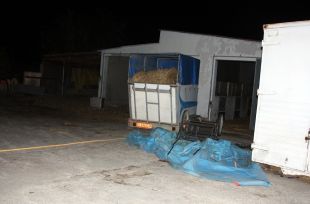 Maten deu cavalls i tres cabres d'un familiar autor del crim al cementiri de Figueres