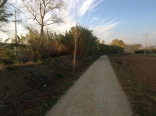 Endesa modifica dues torres elèctriques a Palafrugell per facilitar el trànsit d'un tram del carril bici