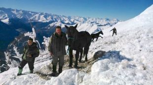UP vol que el rescat dels ramats a la muntanya siguin gratuïts