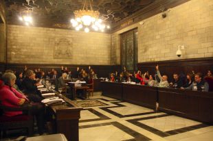 Girona aprova una moció per demanar que la consulta es faci el 2014, amb permís o sense