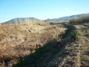 Acaben els treballs de manteniment i conservació de lleres de la riera de Vilajuïga 