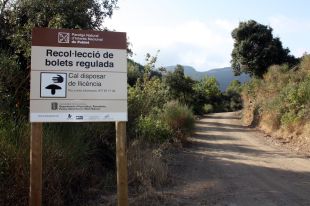 El carnet del boletaire serà obligatori al Ripollès, l'Alt Pirineu i els Ports