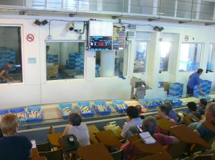 La Confraria de Pescadors de Roses subhasta un 66,8% més de lluç respecte el 2012