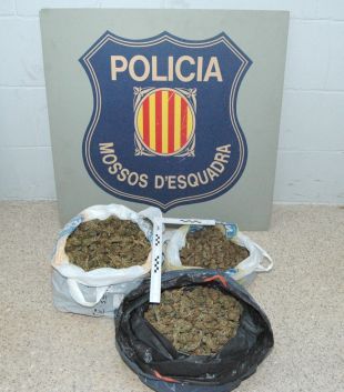Quatre detinguts per tràfic de drogues a l'Alt Empordà