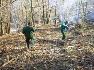 Persones amb risc d'exclusió social recuperaran espais oberts a la Garrotxa