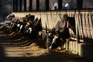  Llet NOSTRA arriba als 10 anys com a líder del sector a Catalunya 