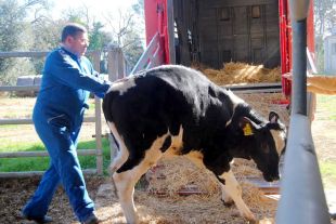 Monells comptarà amb una granja experimental