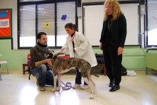 Més de 1.700 alumnes de Girona prenen consciència de tenir una mascota
