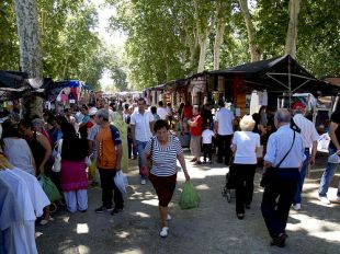 Un nou bus a Girona facilitarà l'accés al mercat de la Devesa i a l'Auditori