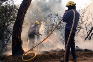 Una investigació determinarà si el foc de Vall-llobrega és fruit d'una negligència
