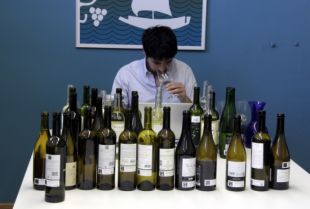La Guia Peñín qualifica d''alenada d'aire fresc' els vins de la DO Empordà del 2013