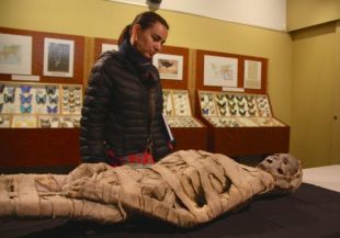 Una de les mòmies del Darder no és egípcia ni té 3.000 anys d'antiguitat