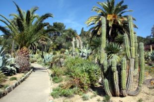Primera reunió per establir els usos del paratge natural de Pinya de Rosa de Blanes