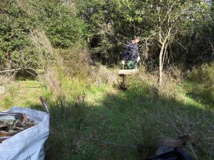 Finalitzen els treballs de millora de l'estat ecològic del riu Ter entre Bescanó i Girona