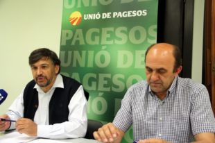 UP reclama a Europa que prohibeixi l'especulació dels supermercats amb els productes alimentaris