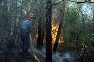 Els Bombers donen per estabilitzat l'incendi de Madremanya