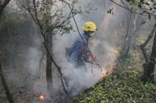 Controlat l'incendi forestal de Madremanya