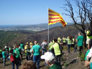 Palamós omple de verd la vall incendiada de Bell-lloc