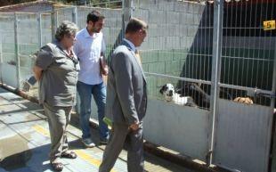El Centre d'Acollida d'Animals de la Selva apunta que cada cop s'abandonen menys gossos