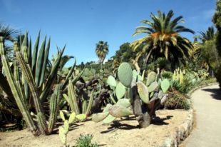 El propietari de Pinya de Rosa de Blanes tanca unilateralment el jardí botànic