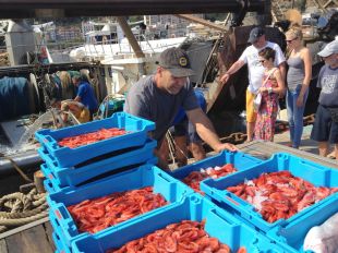 Tretze embarcacions pesqueres de Blanes també portaran turistes