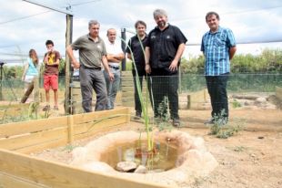 El Centre de Reproducció de Tortugues incorporarà trenta basses en un nou espai