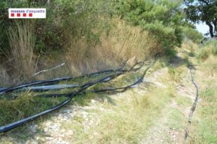 Desarticulat el grup criminal que robava cable telefònic