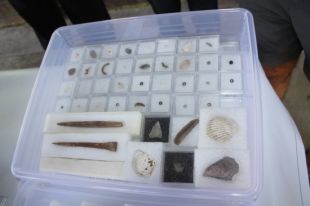 Descobreixen una nombrosa col·lecció de joies del neolític a la Draga de Banyoles