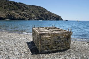 L'hotel Cala Jóncols de Roses ha venut 900 ampolles anuals de vi amb criança submarina
