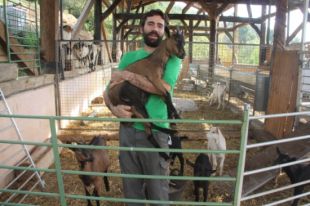 Un pastor de la Garrotxa fa micromecenatge per comprar cabres