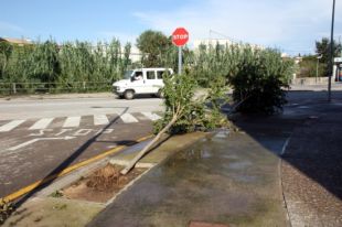 Talls de llum, aigua a cases, carrers enfangats i arbres arrencats a Cassà de la Selva per la pluja
