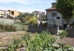 Fereixen un veí de Besalú amb un ganivet per robar-li plantes de marihuana