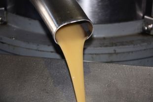 Una molècula a l'oli d'oliva verge extra pot d'eliminar cèl·lules mare tumorals