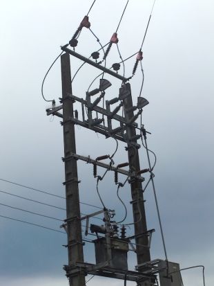 Endesa instal·la fundes aïllants per evitar l'electrocució de les aus a Sarrià de Ter