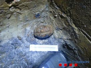 Troben una granada de mà de la Guerra Civil en un refugi antiaeri de Figueres