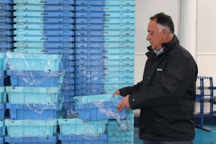 El sector pesquer gironí explica a Europa com gestiona la gamba, el lluç i el sonso