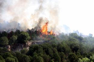 Una crema de rostolls mal apagada podria ser l'origen de l'incendi de Cala Montjoi