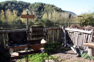 La collita de la castanyes es preveu irregular