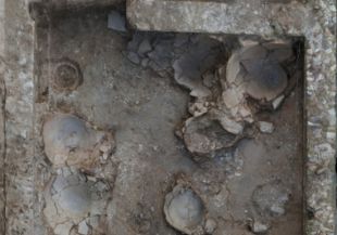Descobreixen dues noves estances a la vil·la romana del Pla de l'Horta de Sarrià de Ter