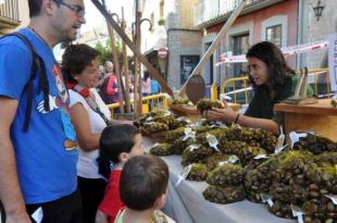 La 20 edició de la Fira de la Castanya de Viladrau aplega 15.000 visitants