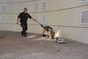 La Policia Municipal de Girona incorpora una unitat canina per intensificar les tasques de prevenció