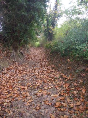 L'ACA adequa 1.200 metres de llera de la riera de Salzers, al Baix Empordà
